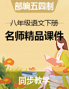 2022-2023学年八年级语文下册同步名师精品课件（部编五四制）（上海专用）