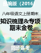 2022-2023學(xué)年八年級(jí)語(yǔ)文上冊(cè)期末考前知識(shí)梳理+專(zhuān)項(xiàng)練習(xí)+期末金卷