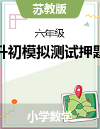 江苏省小升初模拟测试押题卷（试题）2023-2024学年六年级下册数学苏教版