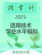 2025年普通高中學(xué)業(yè)水平合格性考試通用技術(shù)模擬試題