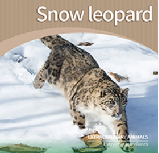 Snow leopard