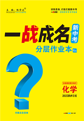 【一戰(zhàn)成名新中考】2025陜西中考化學(xué)·一輪復(fù)習(xí)·分層作業(yè)本（練冊）