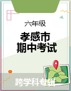 湖北省孝感市2022-2023学年六年级下学期4月期中试题