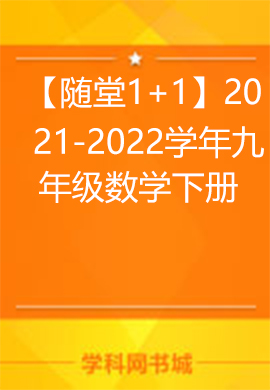 【隨堂1+1】2021-2022學(xué)年九年級(jí)數(shù)學(xué)下冊(cè)同步習(xí)題課件（人教版）