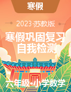 寒假鞏固復(fù)習(xí)自我檢測(cè)-2022-2023學(xué)年六年級(jí)數(shù)學(xué)寒假?gòu)?fù)習(xí)高頻易錯(cuò)點(diǎn)專項(xiàng)練習(xí)（蘇教版）