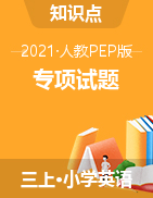 专项（试题）-2021-2022学年英语三年级上册-人教PEP版 （含答案）