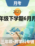 湖南省娄底市涟源市2022-2023学年三年级下学期6月月考试题