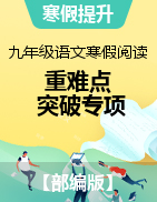 2023年九年級(jí)語文寒假閱讀重難點(diǎn)突破專項(xiàng)