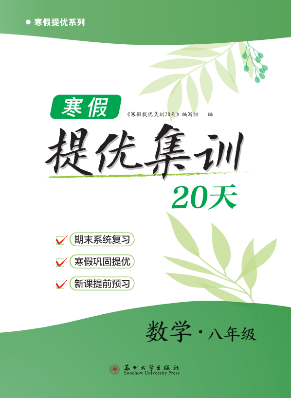 【寒假提優(yōu)集訓】2024-2025學年八年級數(shù)學20天（蘇科版）