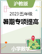 2023年小升初数学暑假专项培优（沪教版）