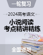 2024年高考语文一轮复习之小说阅读考点精讲精练