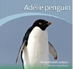 Adelie penguin