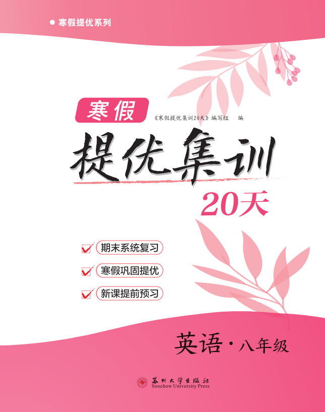 【寒假提優(yōu)集訓】2024-2025學年八年級英語20天