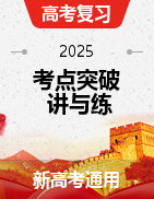 2025年高考語(yǔ)文考點(diǎn)突破講與練（新高考通用）  