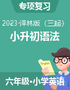 2022-2023学年小学英语小升初语法专项讲练课件