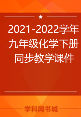 ​2021-2022学年九年级化学下册同步教学课件（人教版）