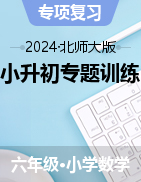 2023-2024學(xué)年北師大版六年級下冊數(shù)學(xué)小升初專題訓(xùn)練