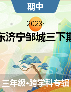 山东省济宁市邹城市2022-2023学年三年级下学期4月期中试题