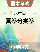 贵州省六年级语文下册期末考试必备之真卷分类卷（有答案，含解析）