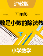 除數(shù)是小數(shù)的除法（教學設(shè)計）-2024-2025學年五年級上冊數(shù)學滬教版