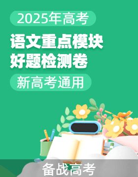 備戰(zhàn)2025年高考語文重點模塊好題檢測卷（新高考通用）