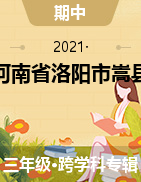 河南省洛阳市嵩县2020-2021学年三年级下学期期中试题 