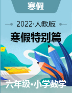 2022-2023学年六年级数学上册寒假专项提升特别篇（人教版)