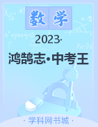 【鸿鹄志·中考王】2023中考数学（河北专用）