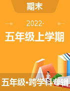 海南省临高县2020-2021学年五年级上学期期末检测试题