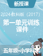 2024-2025學年科學五年級上冊第一單元訓練（課件）教科版