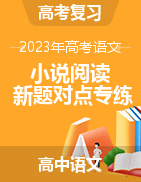 2023年高考語文小說閱讀新題對(duì)點(diǎn)專練