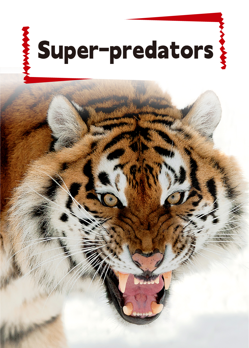 Super-Predators