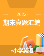 2021-2022小学英语下学期期末真题汇编 译林版三起