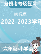 分班考專項分類突破+檢測卷-2022-2023學年語文六年級下冊（統(tǒng)編版）