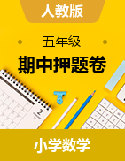 （期中押題卷）2022-2023學(xué)年五年級(jí)上冊(cè)期中復(fù)習(xí)常考題型數(shù)學(xué)試題（人教版）