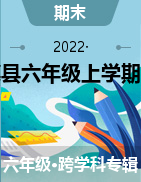 贵州省黔西南布依族苗族自治州望谟县-2021-2022学年六年级上学期期末测试卷