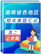 湖南省各地区2020-2021学年高二上学期期末考试真题卷汇总