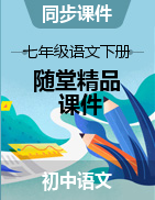 2022-2023學(xué)年七年級(jí)語(yǔ)文下冊(cè)隨堂精品課件