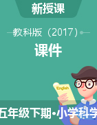 小學(xué)五年級下學(xué)期科學(xué)課件合集（教科版）