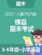 广西南宁市横县英语三-六年级下学期期末考试 2020-2021学年 人教（PEP）