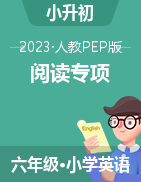 2022-2023学年小升初英语常考易考专题训练 人教PEP版