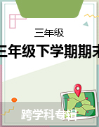 四川省瀘州市江陽區(qū)2022-2023學年三年級下學期期末試卷