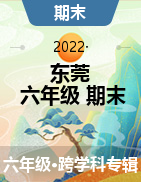 广东省东莞市2021-2022学年六年级下学期期末综合练习试题