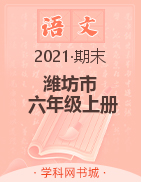 【黄冈名卷】山东省潍坊市2021秋六年级语文上册期末试题