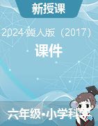 2024-2025學年科學六年級上冊課件（冀人版）