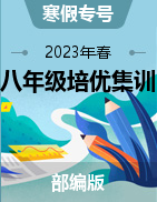 【寒假專號(hào)】2023年春九年級(jí)語文假期培優(yōu)專項(xiàng)訓(xùn)練（部編版）