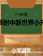 廣東省廣州市華師附中新世界學(xué)校2021年小升初語(yǔ)文考試卷