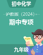 2024-2025學年九年級上冊化學期中專項（滬教版2024）