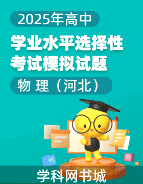 【高考領(lǐng)航】2025年高中物理學(xué)業(yè)水平選擇性考試模擬試題（河北）