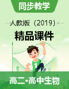 2021-2022學(xué)年高二生物同步教學(xué)精品課件（人教版2019選擇性必修1）